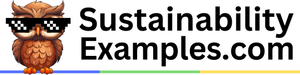 SustainabilityExamples.com
